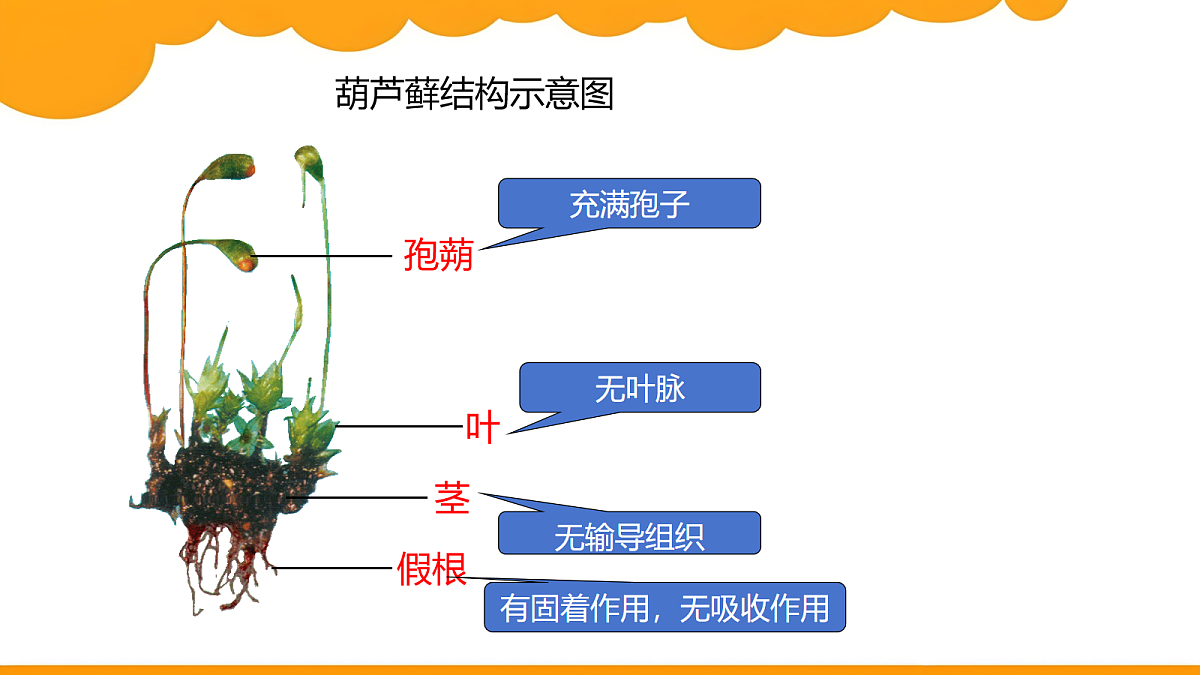 18061177第8页