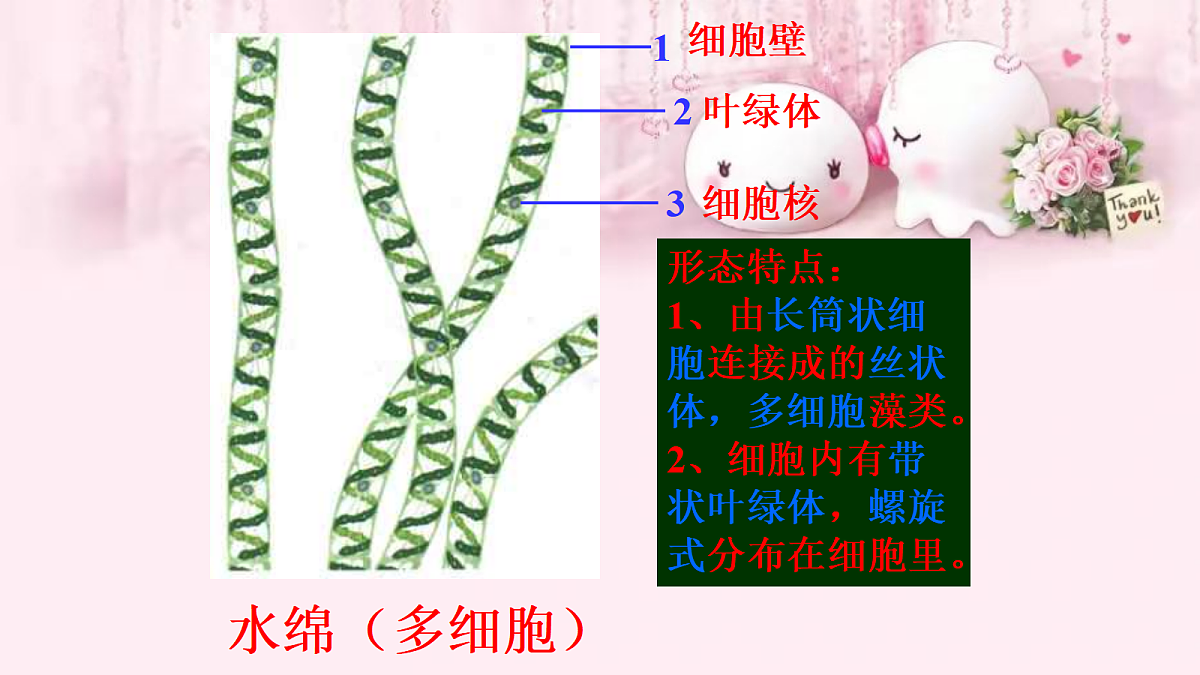 18061852第8页