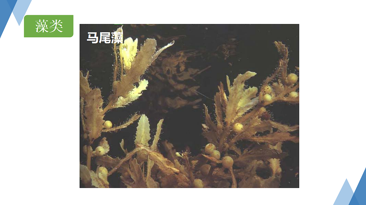 18061856第8页