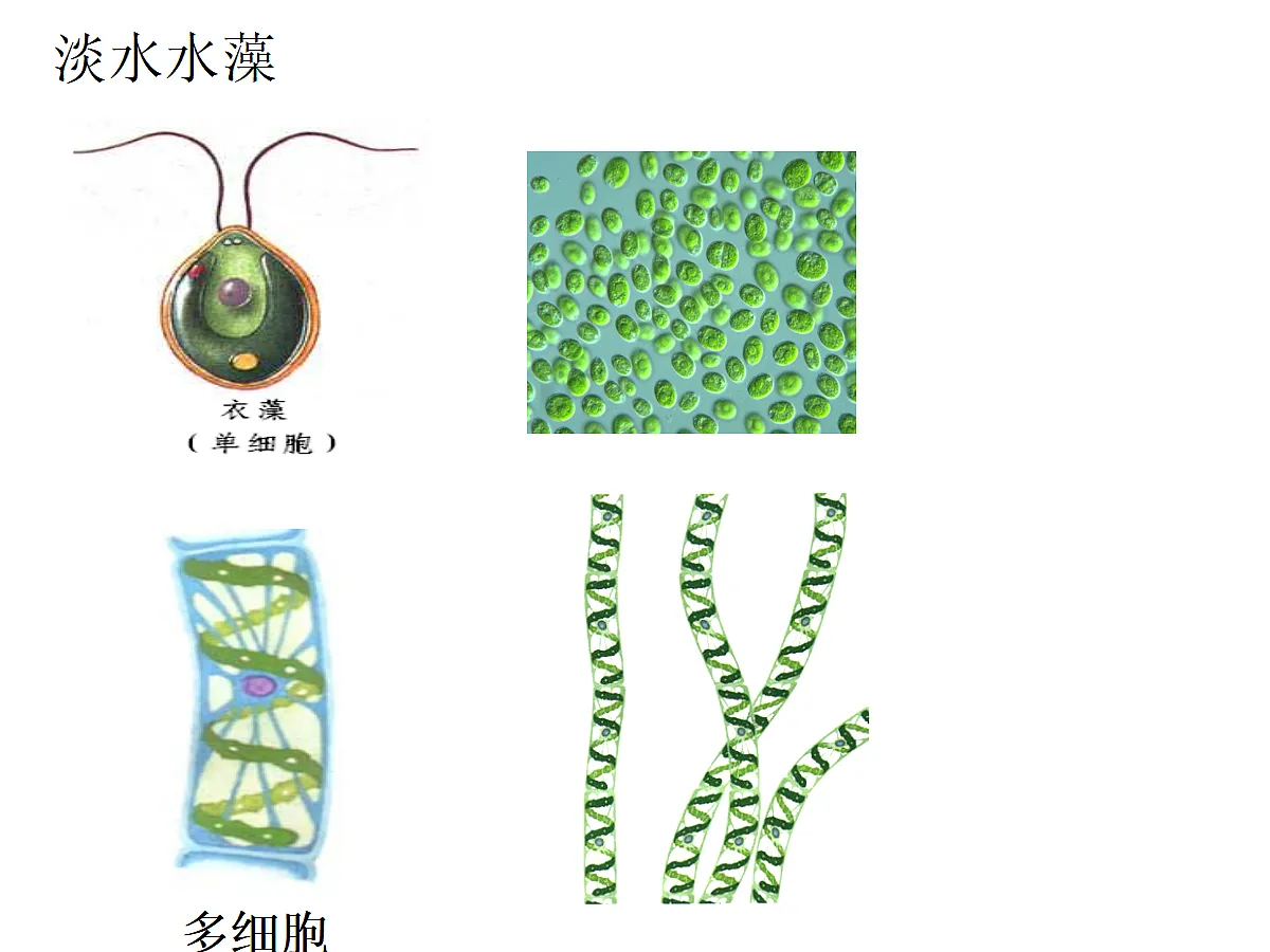 18061860第7页