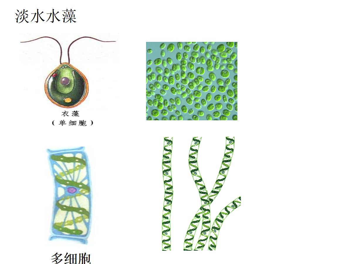 18061860第7页