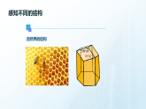 粤教版高中通用技术必修二技术与设计 第一章结构及其设计 第一节 认识结构_课件