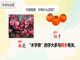 统编版二年级语文下册课件第八单元《语文园地八》