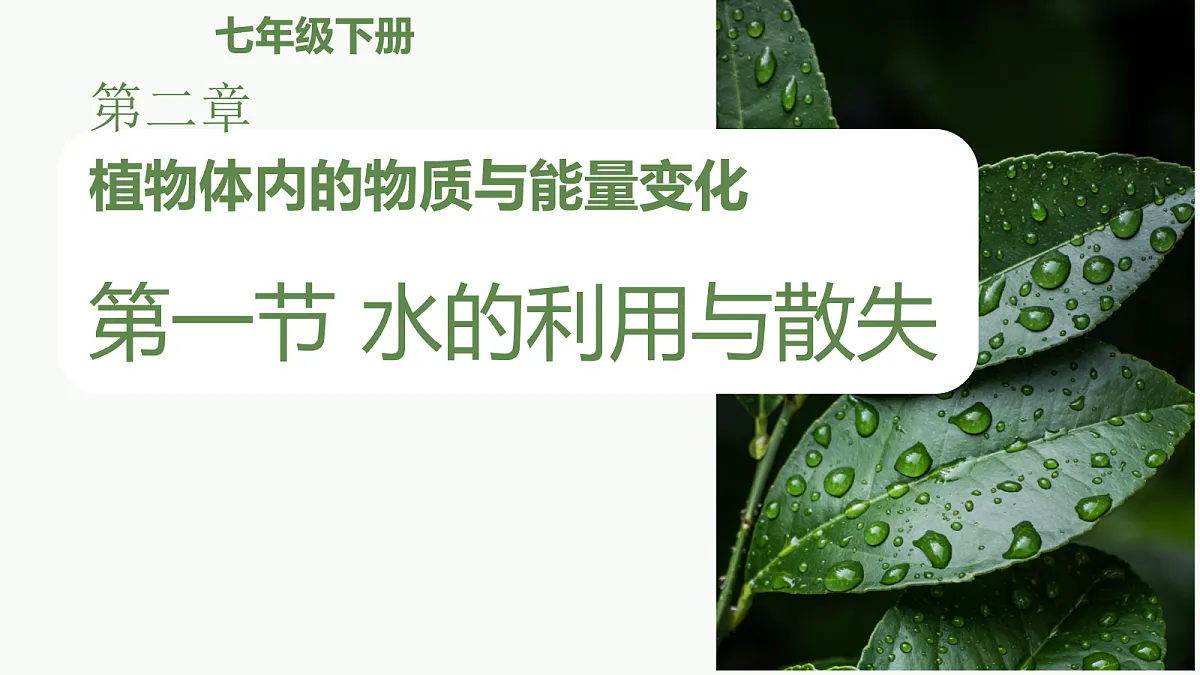 18064599第1页