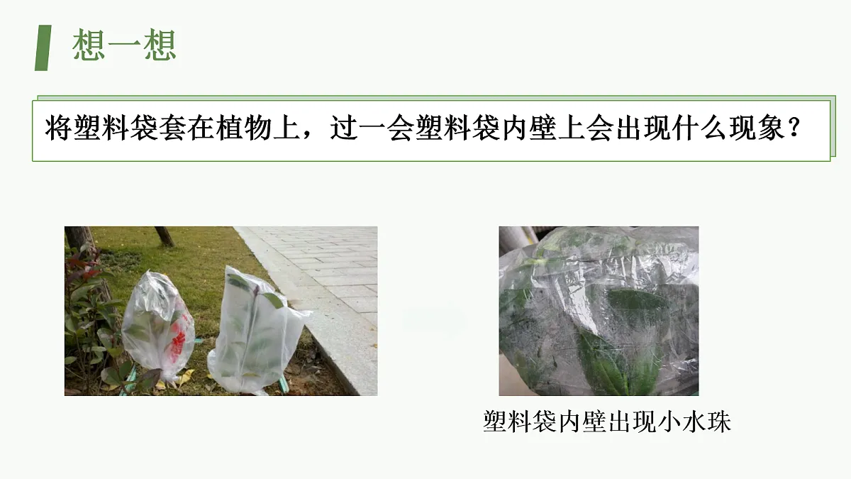 18064599第3页