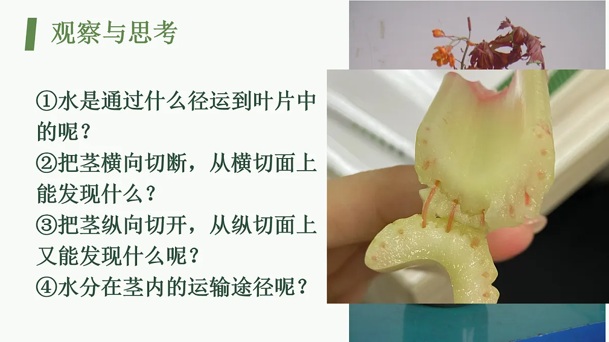 18064599第5页