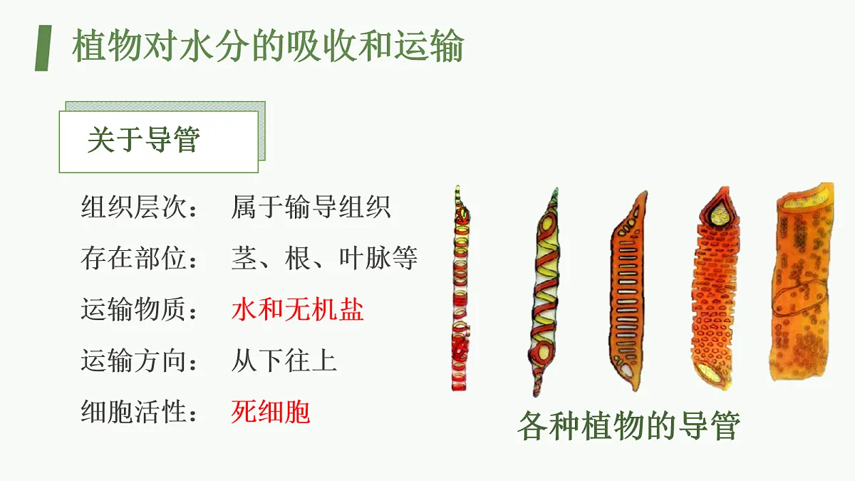 18064599第7页