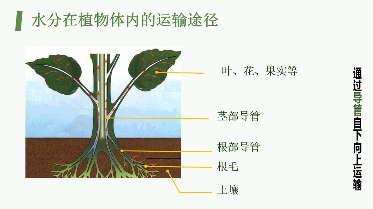 18064599第8页