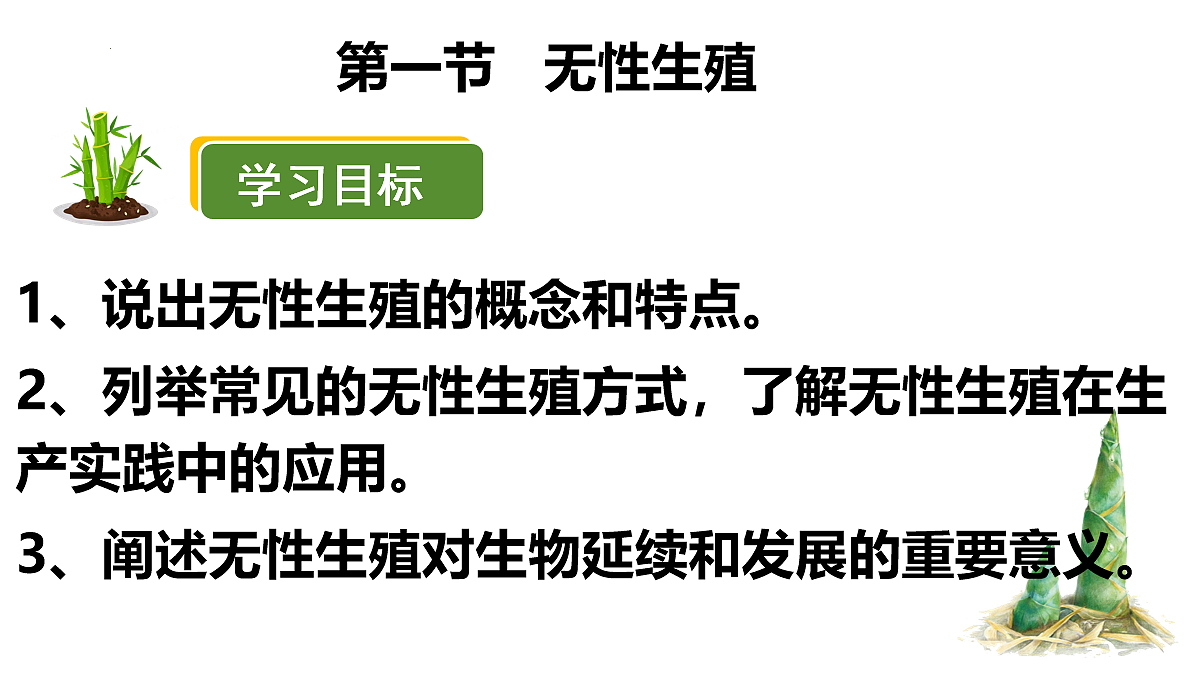18065075第3页