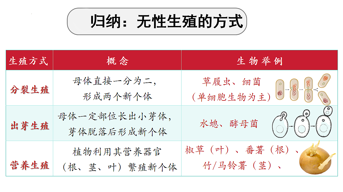 18065075第8页