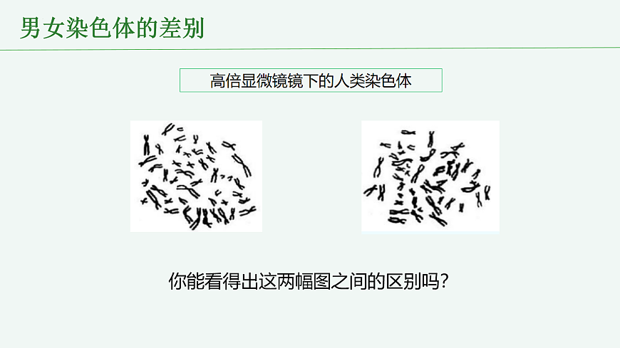 18065077第6页