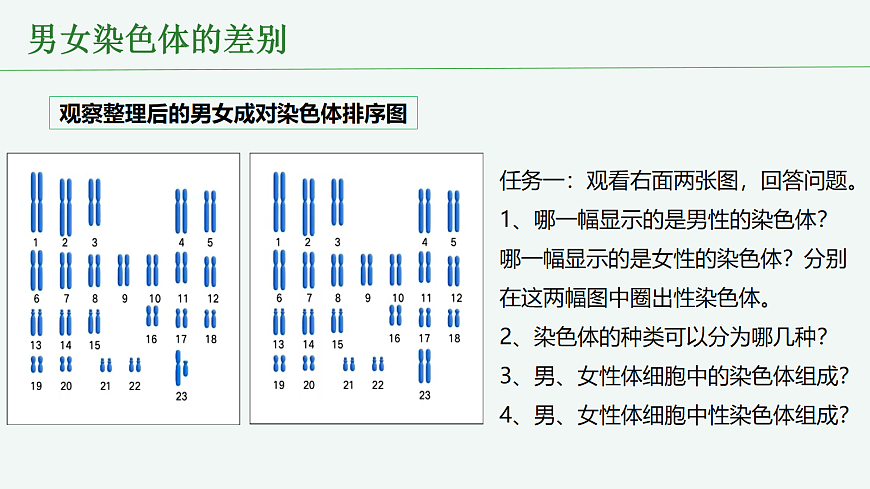 18065077第7页