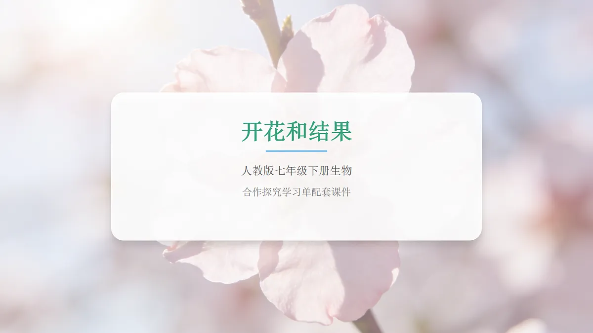 18065083第1页
