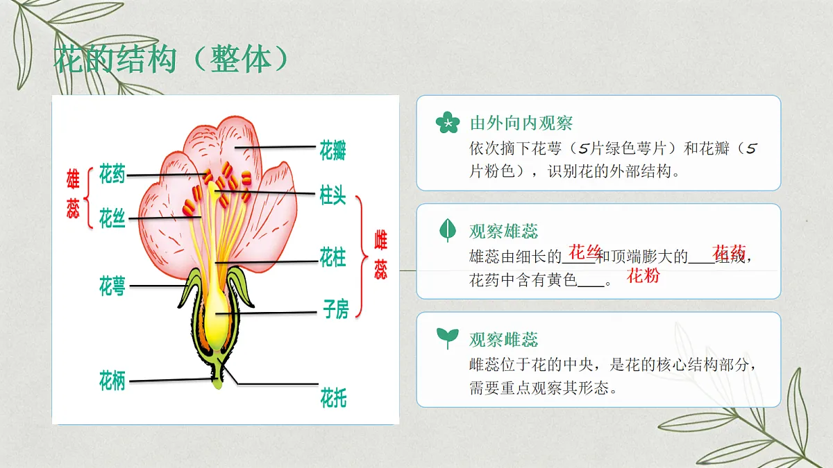 18065083第5页