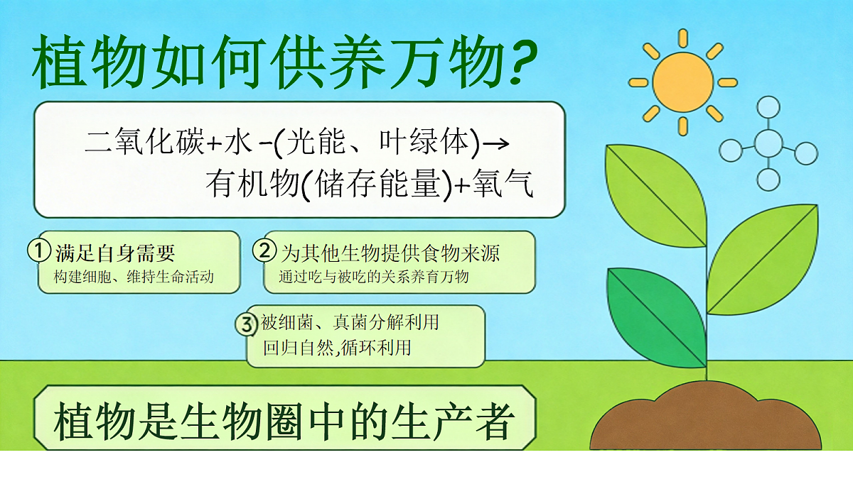 18065086第7页