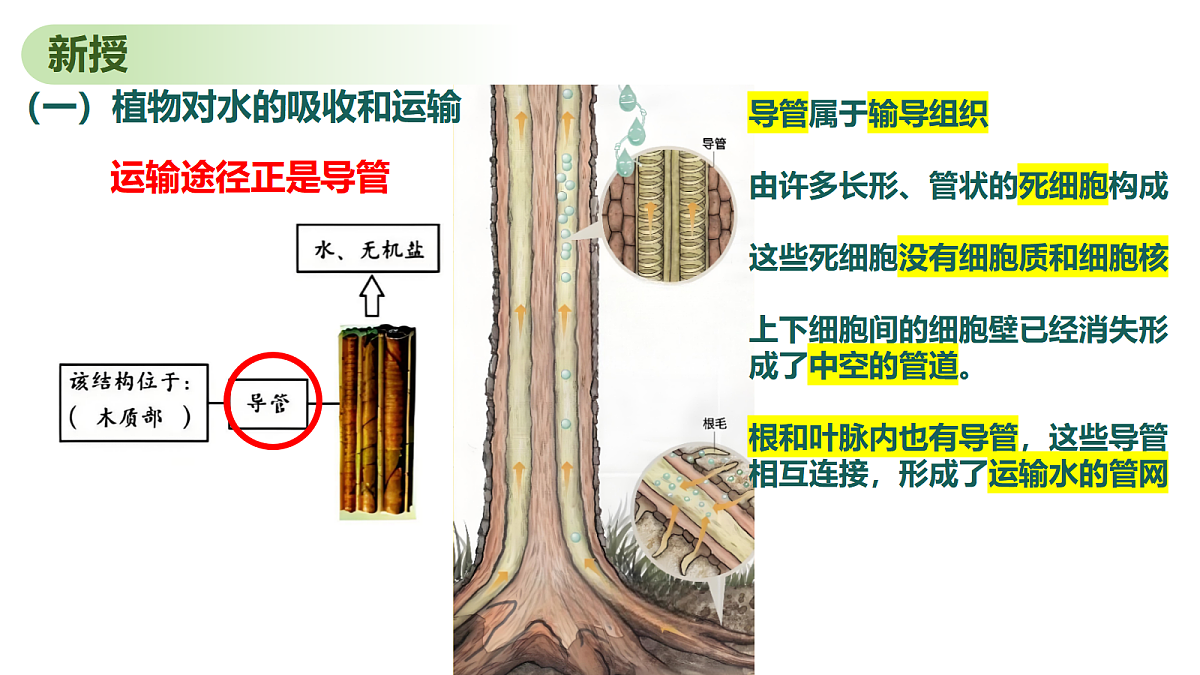 18065106第7页