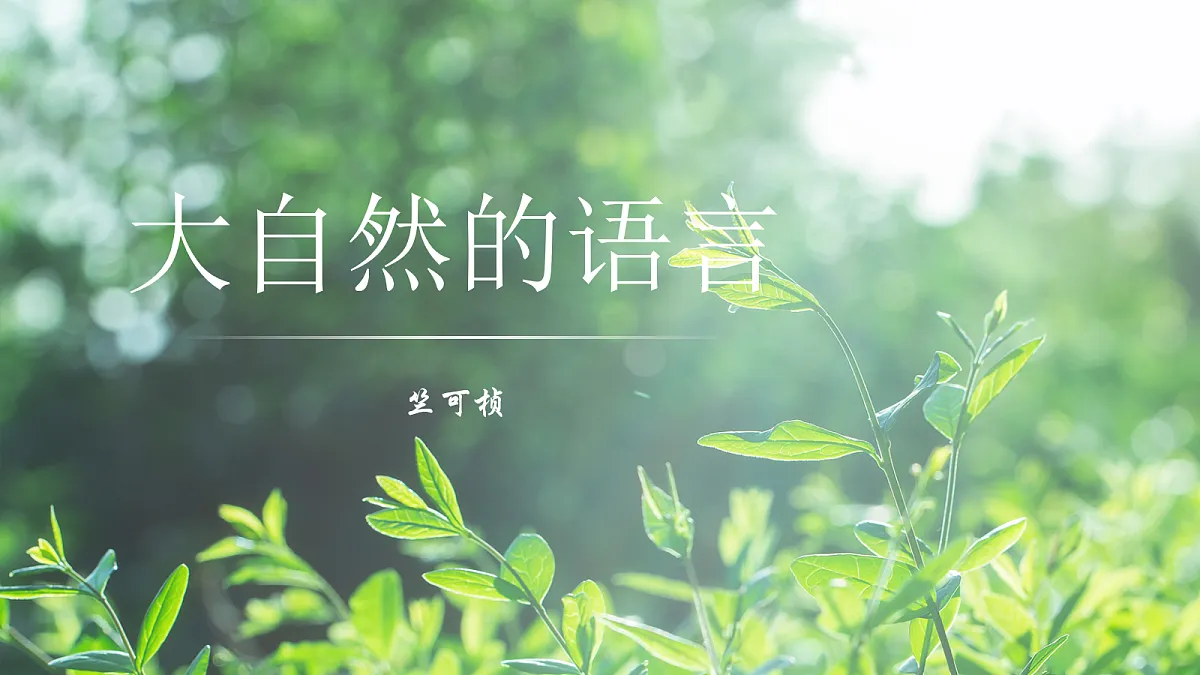 18065137第2页