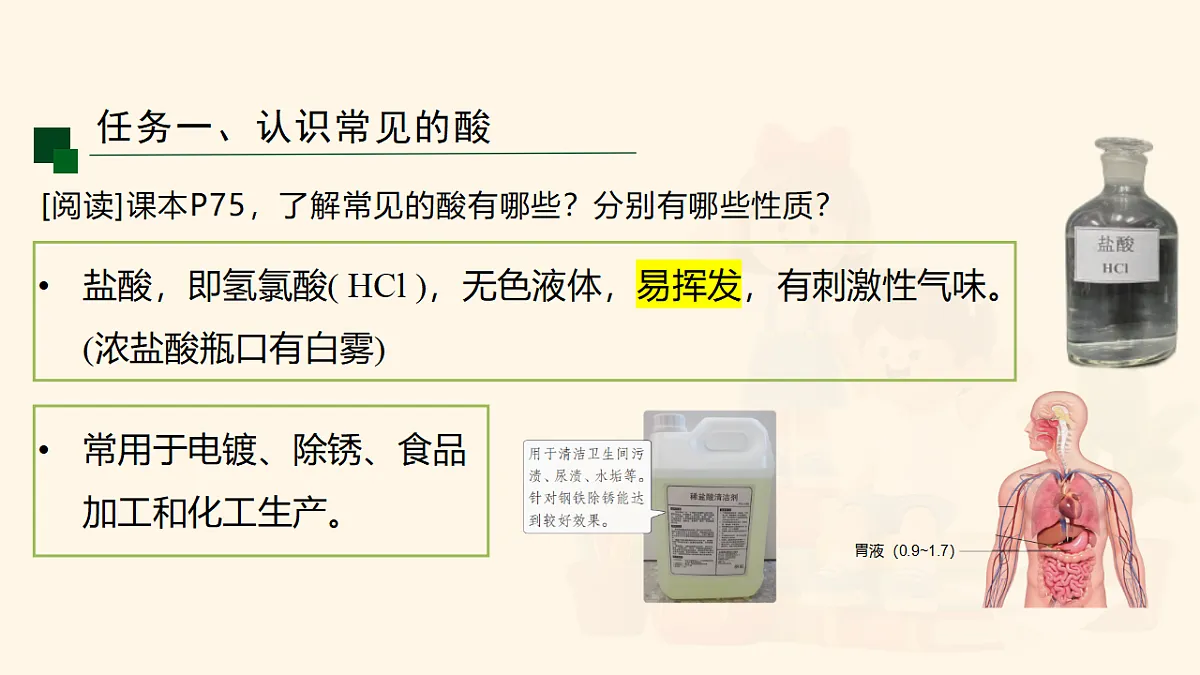 18065888第5页