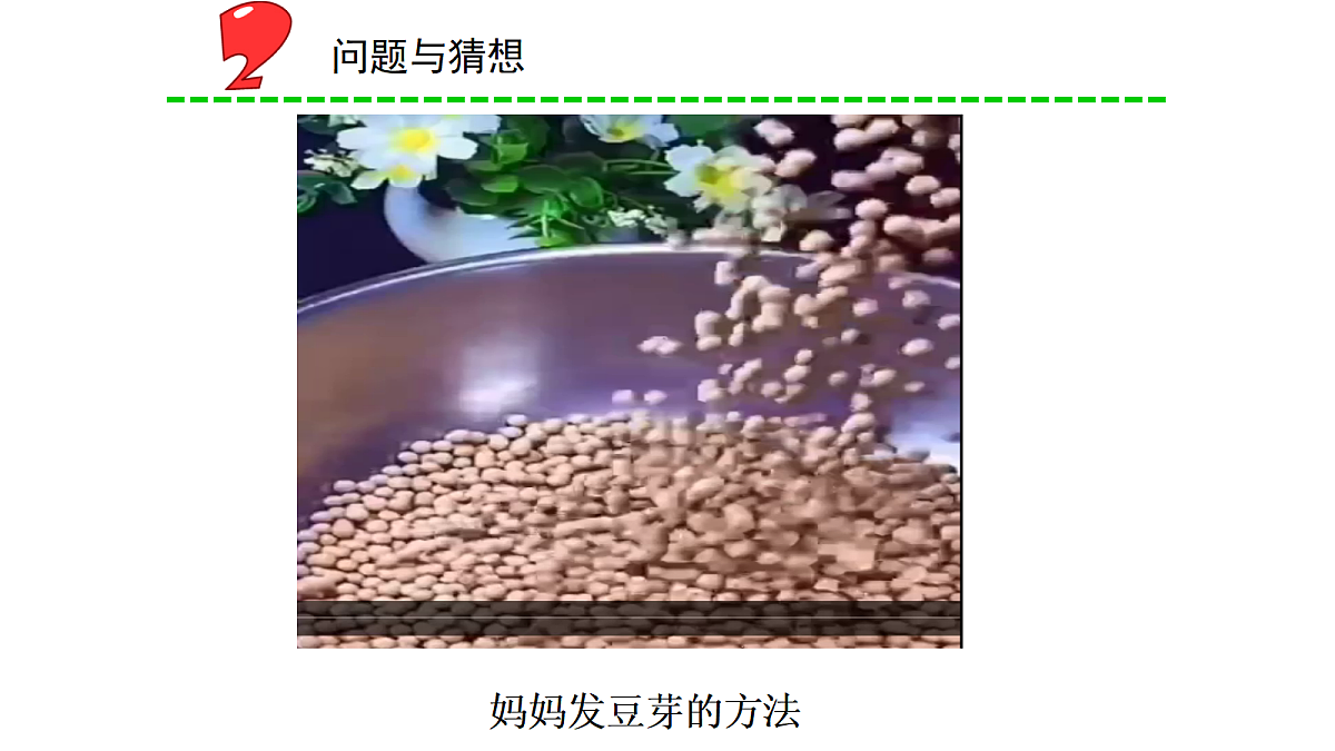 18066398第3页
