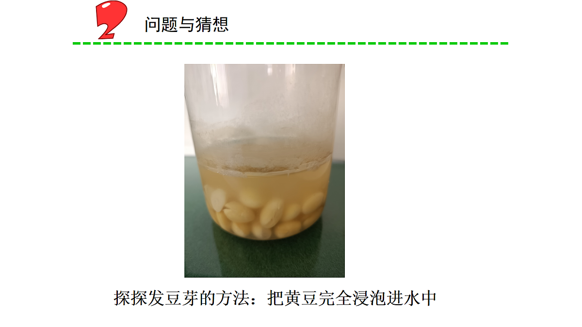 18066398第4页