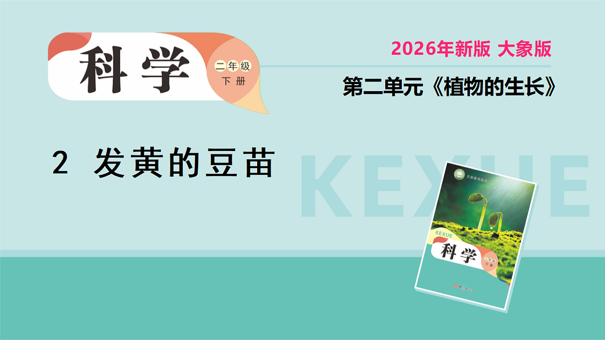 18066400第1页