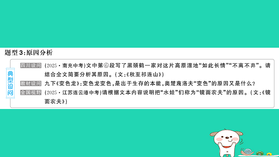 18067088第8页