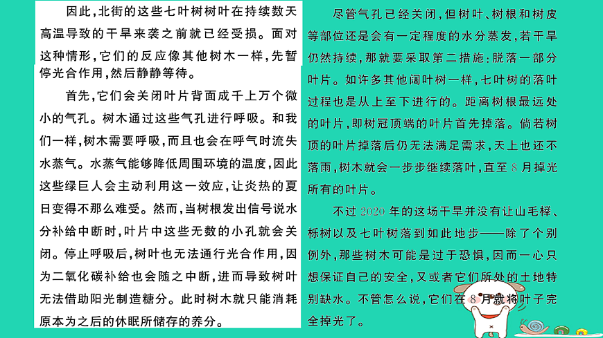 18067092第3页