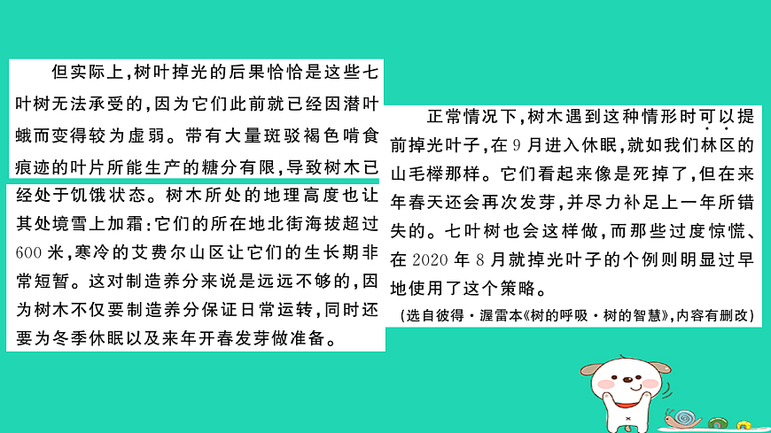 18067092第4页