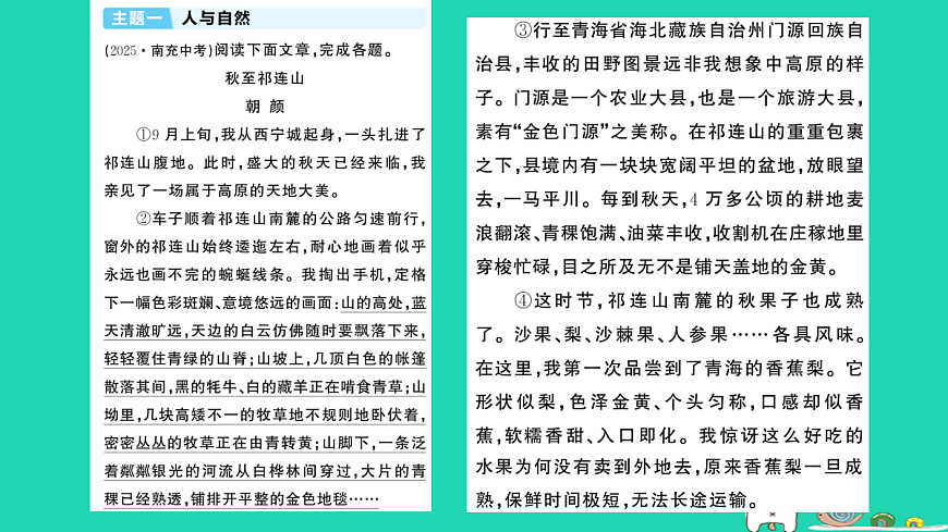 18067102第2页