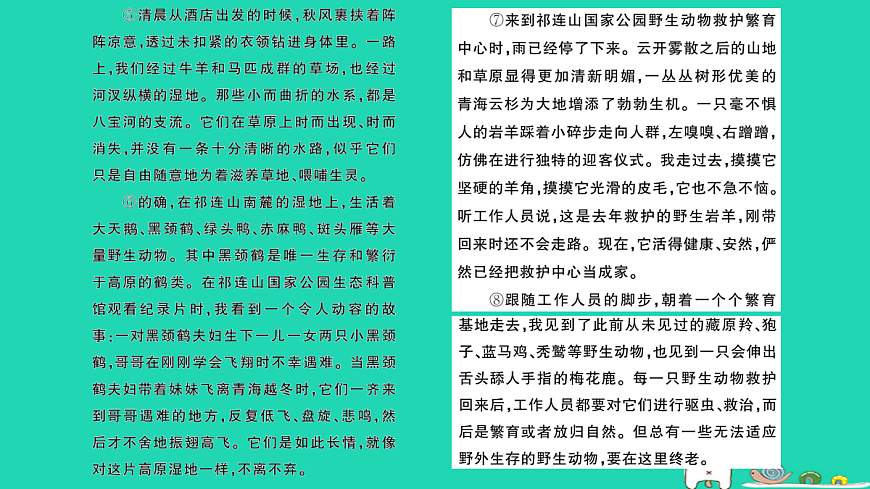 18067102第3页