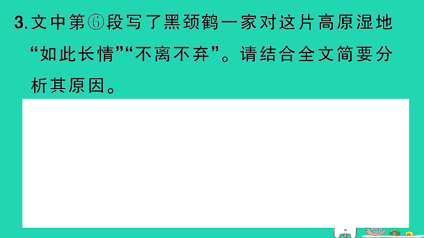 18067102第7页