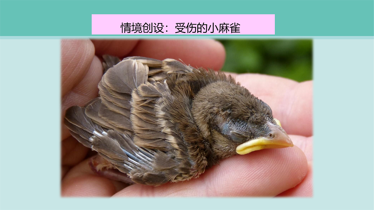 18068047第2页