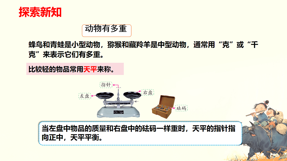 18068079第5页