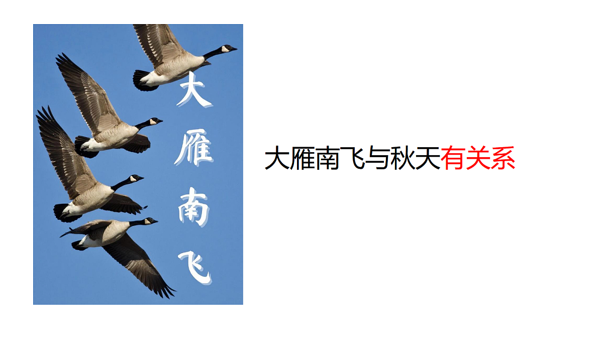 18068106第2页