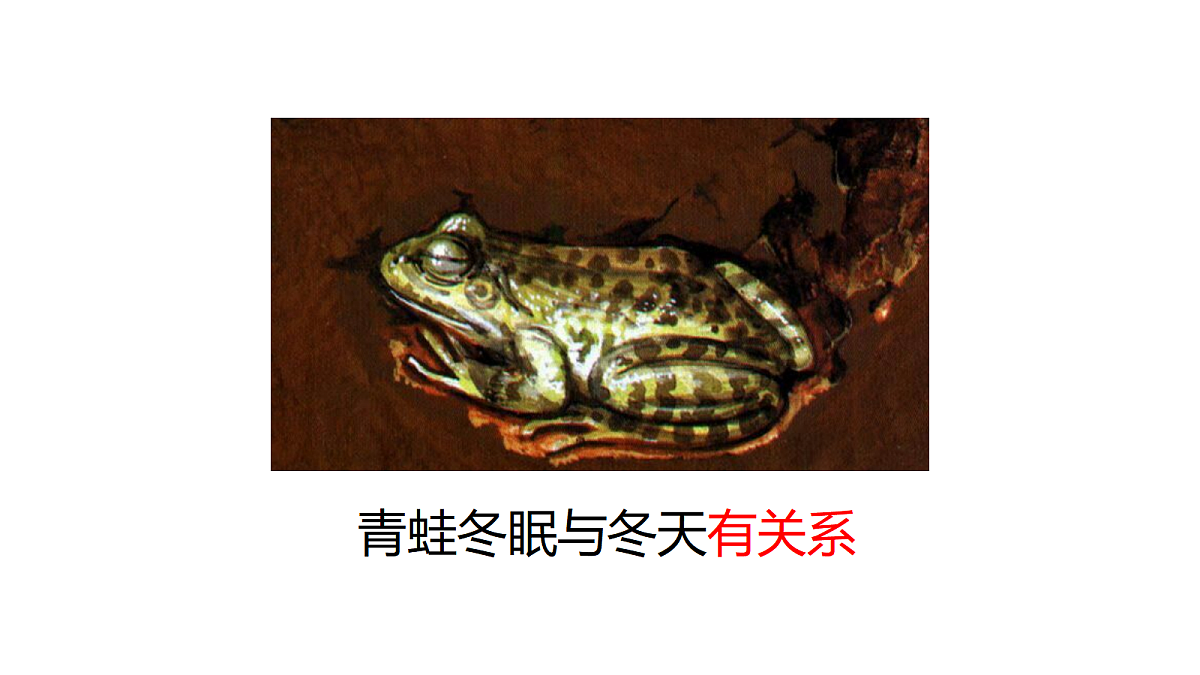 18068106第3页