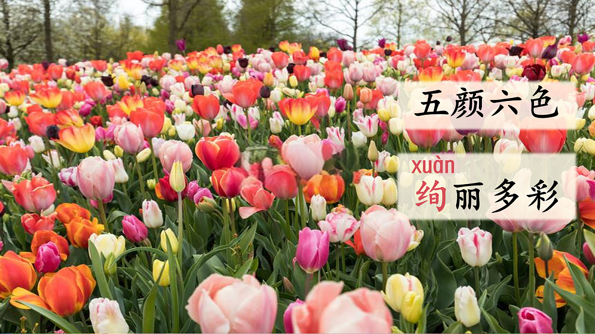 【教学课件】阅读3.《开满鲜花的小路》(第二课时)第8页