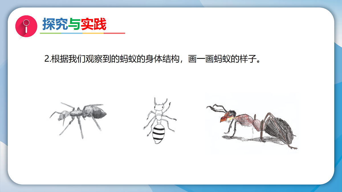 18072254第5页