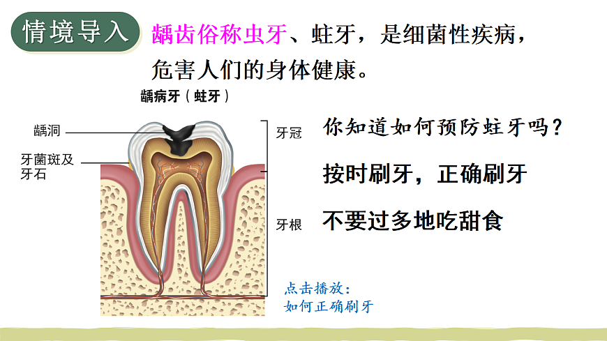 第2课时 分类（2）第2页