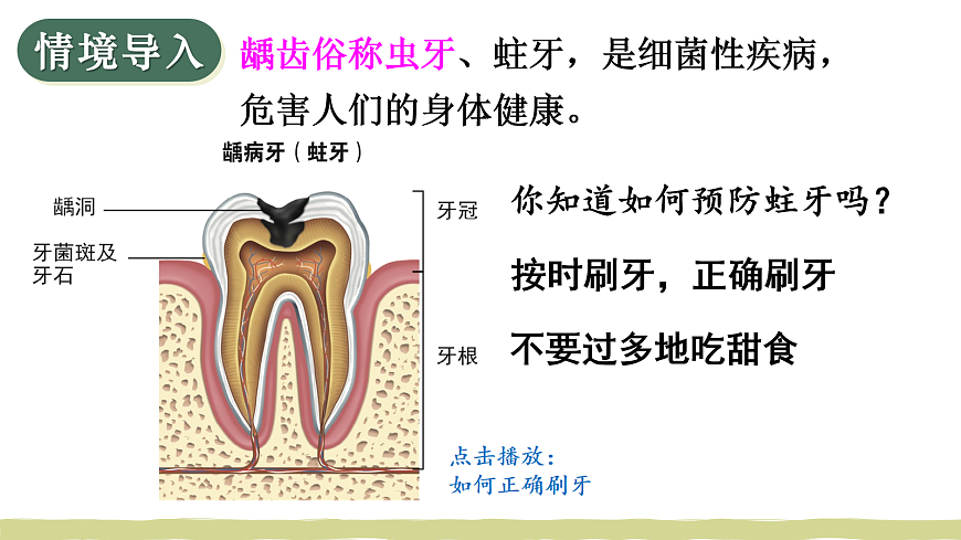 第2课时 分类（2）第2页
