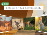 2.1 不同种类的动物 课件 小学科学教科版（2024）三年级下册课件