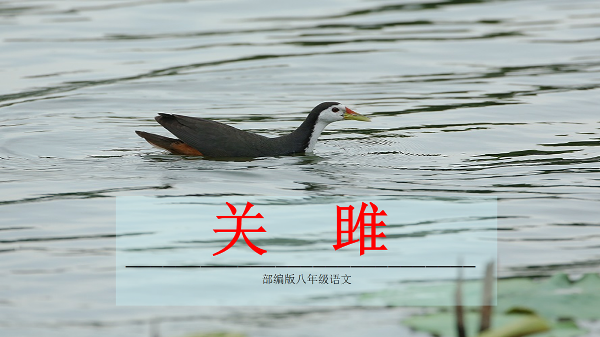 18074891第1页