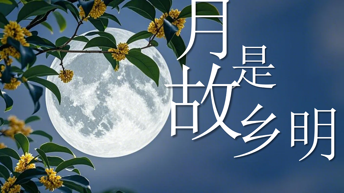 18074905第5页