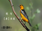 统编版二年级语文下册教学课件《14 古诗二首》