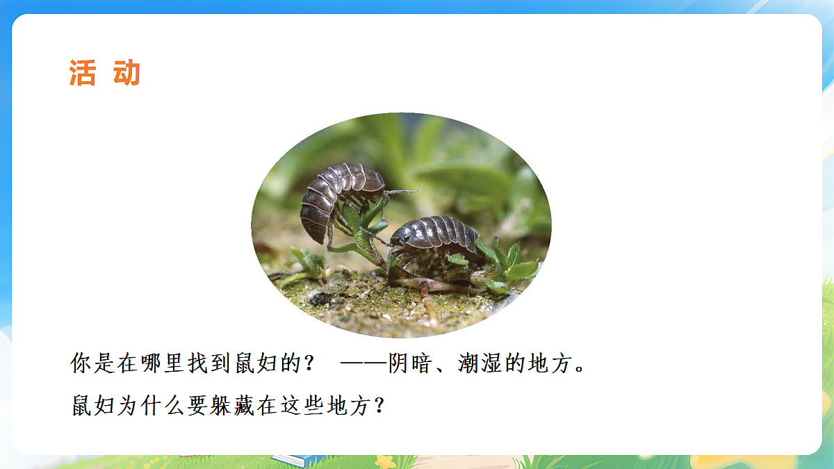 18075758第3页