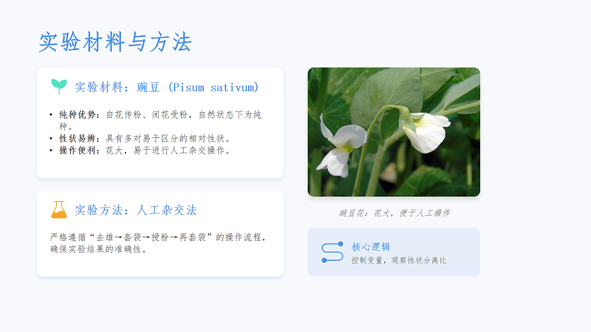 18075873第3页