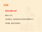 第二十章 第二节 生态系统的组成 课件 2025—2026学年《生物》八年级下册（北师大版）