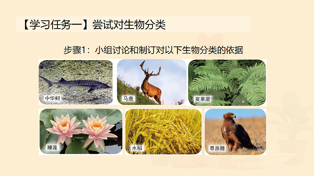 18075877第3页