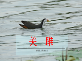 统编版语文八年级下册12 《诗经》二首课件