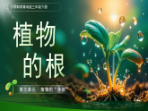 第10课 植物的根 课件  小学科学青岛版六三制（2024）三年级下册课件