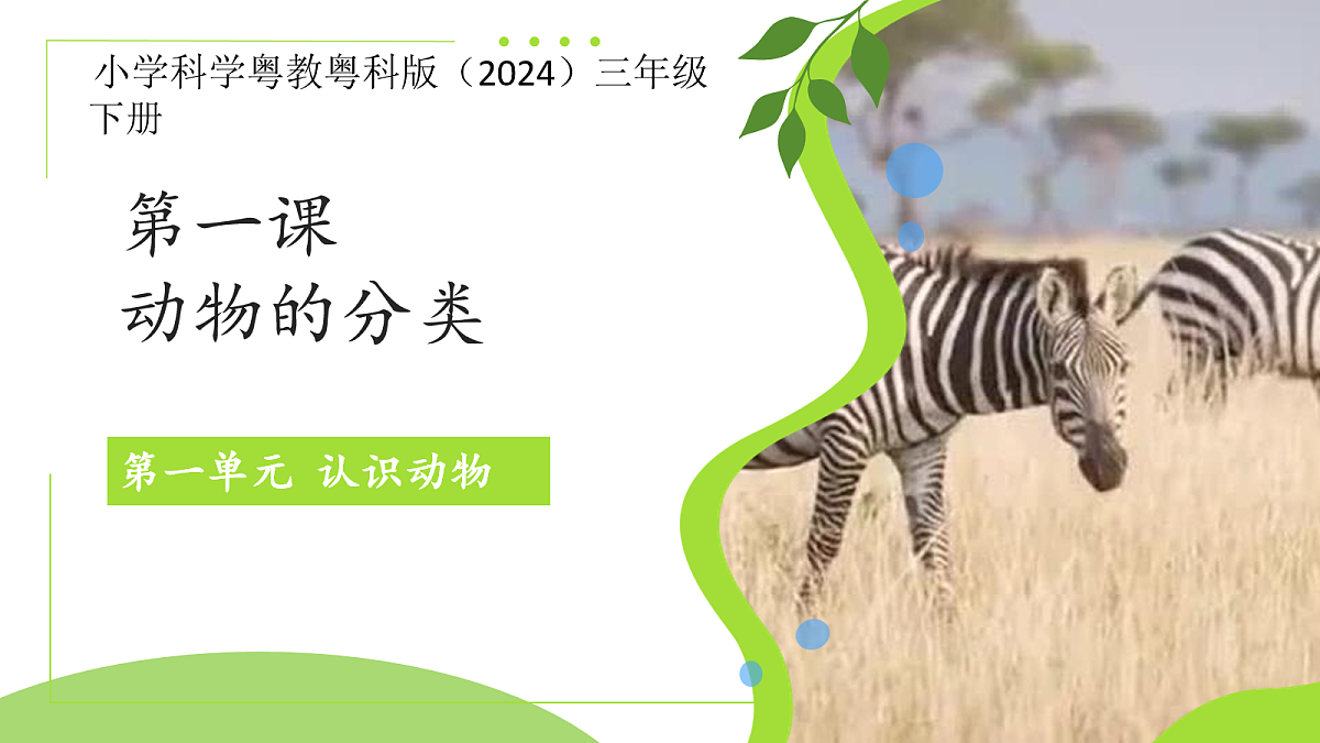 18076950第1页